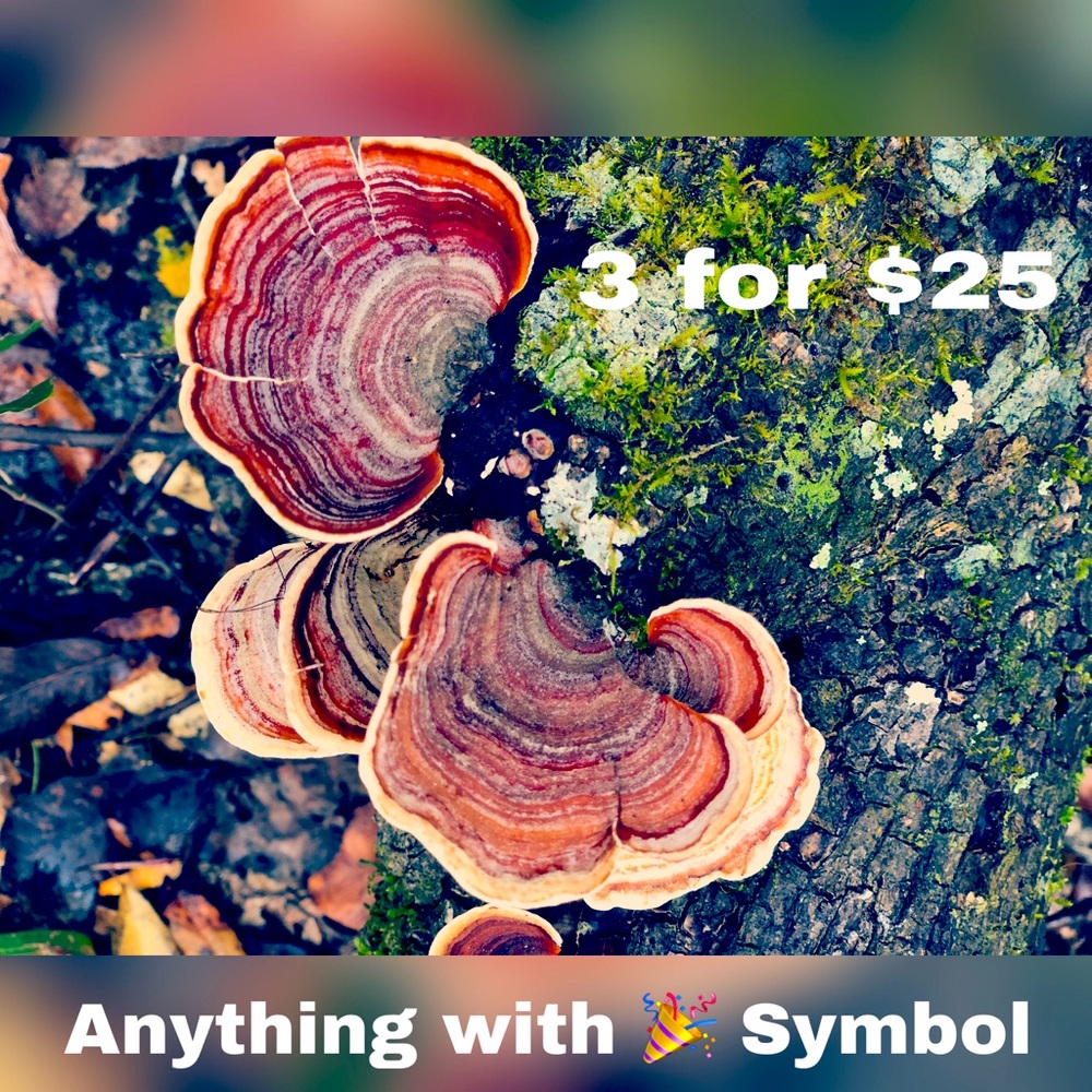 -🎉 3 for $25 🎉